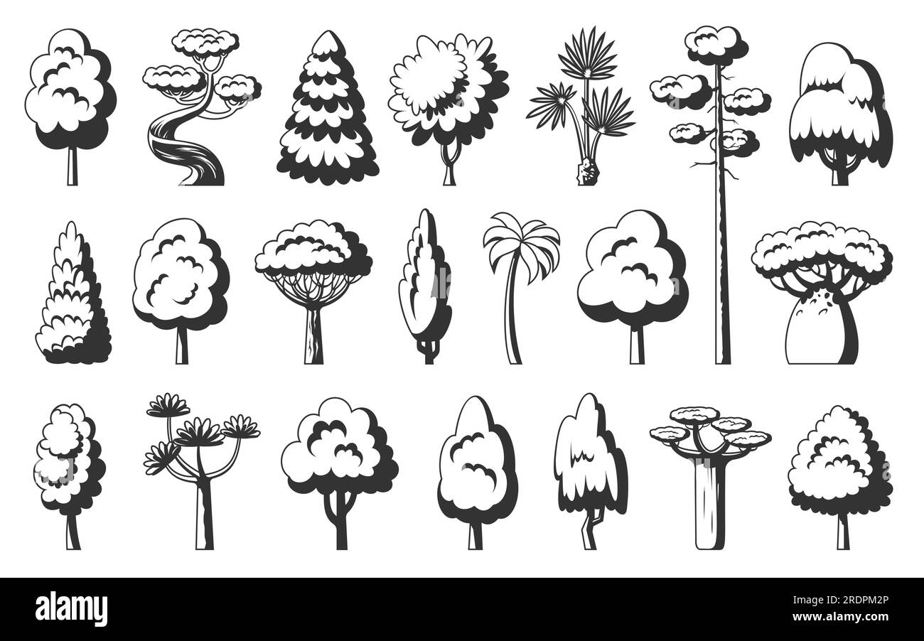 Set di icone albero. Vista laterale delle piante eco stilizzate con stencil nero in stile foresta. Dracaena salice cipresso thuja pino quercia pioppo betulla abete rosso acero baobab palma sequoia aspen ontano frassino tiglio acacia castagno Illustrazione Vettoriale