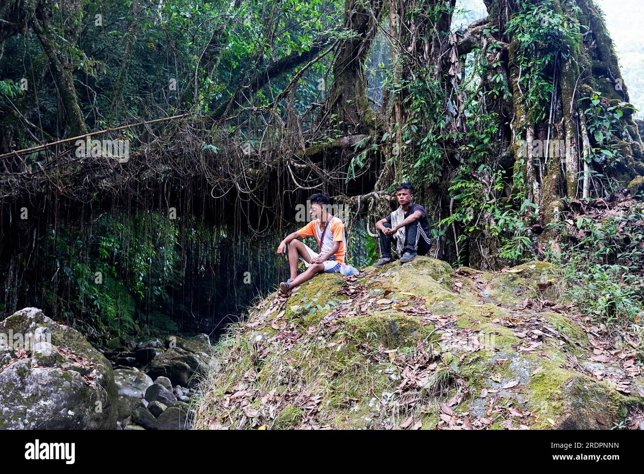 Uomini locali seduti su una grande roccia vicino al doppio ponte vivente, vicino al villaggio di Padu a Meghalaya, India Foto Stock