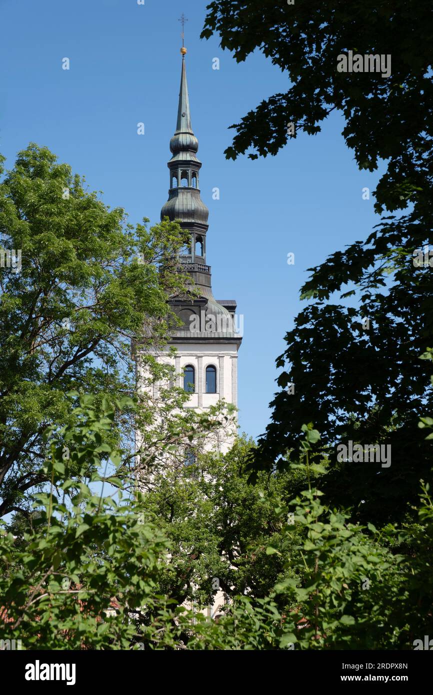 Torre con guglia della medievale St Chiesa di Nicola (estone: Niguliste kirik) tra gli alberi di Tallinn. Attualmente è un museo e una sala concerti Foto Stock