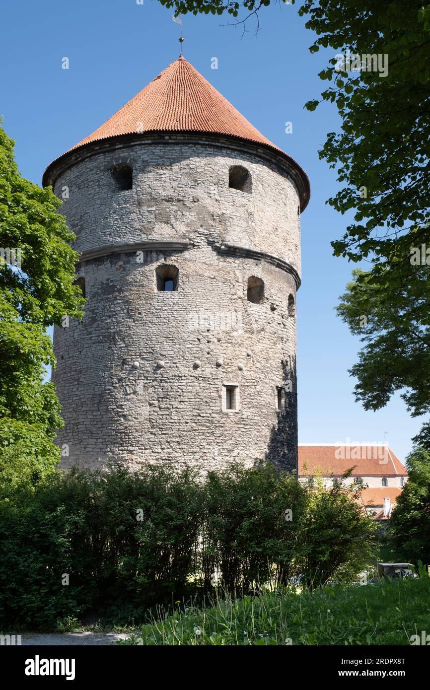 Kiek in de Kök torre d'artiglieria con palle di cannone incastonate nelle pareti esterne. Tallinn, Estonia Foto Stock