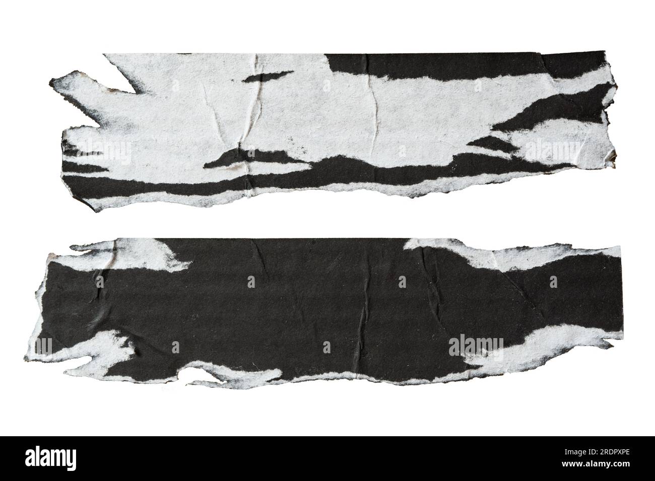 due pezzi di carta bianca e nera sbucciata su sfondo bianco con percorso di ritaglio Foto Stock