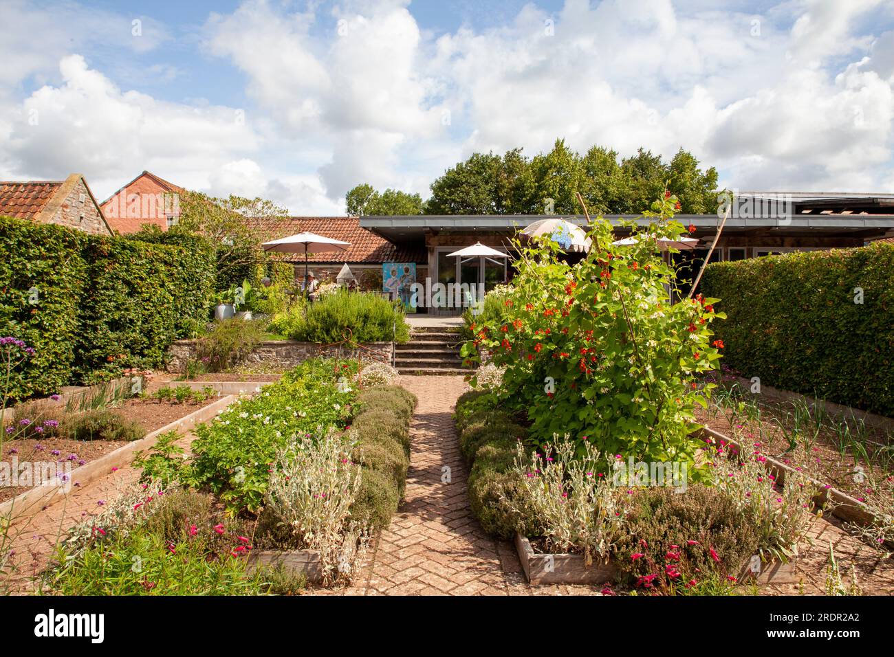 Giardino vegetariano presso i giardini biologici di Yeo Valley a Blagdon Somerset Foto Stock