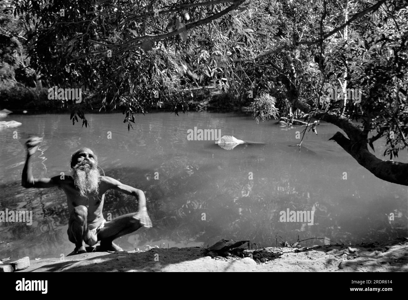 Vecchia immagine in bianco e nero degli anni '1900 del prete indiano che spaventa scimmia seduto sull'albero del fiume Mandakini Chitrakoot Satna Madhya Pradesh India Foto Stock