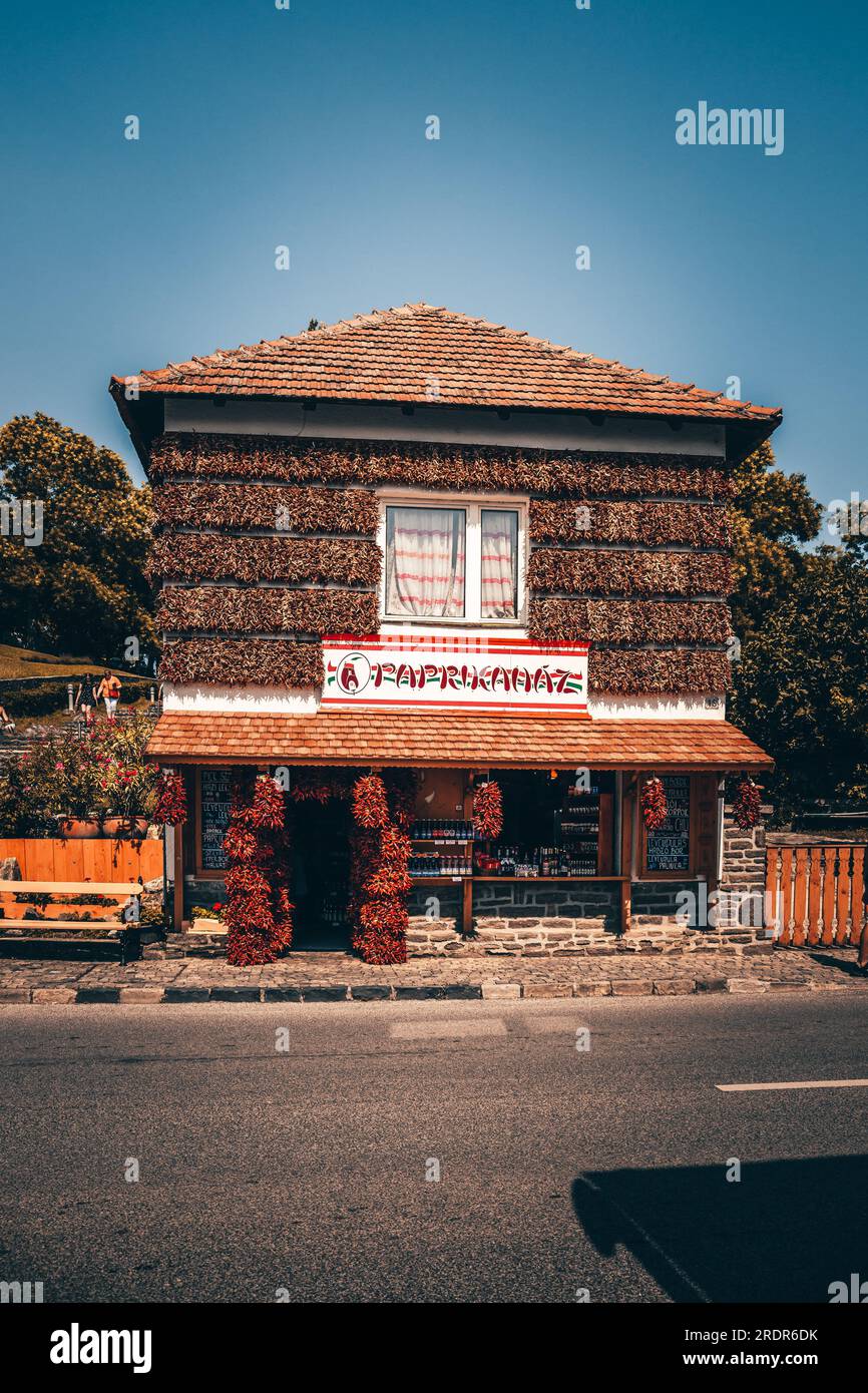 Affascinanti dimore ungheresi tra i vigneti di Balaton: Una bellezza senza tempo Foto Stock