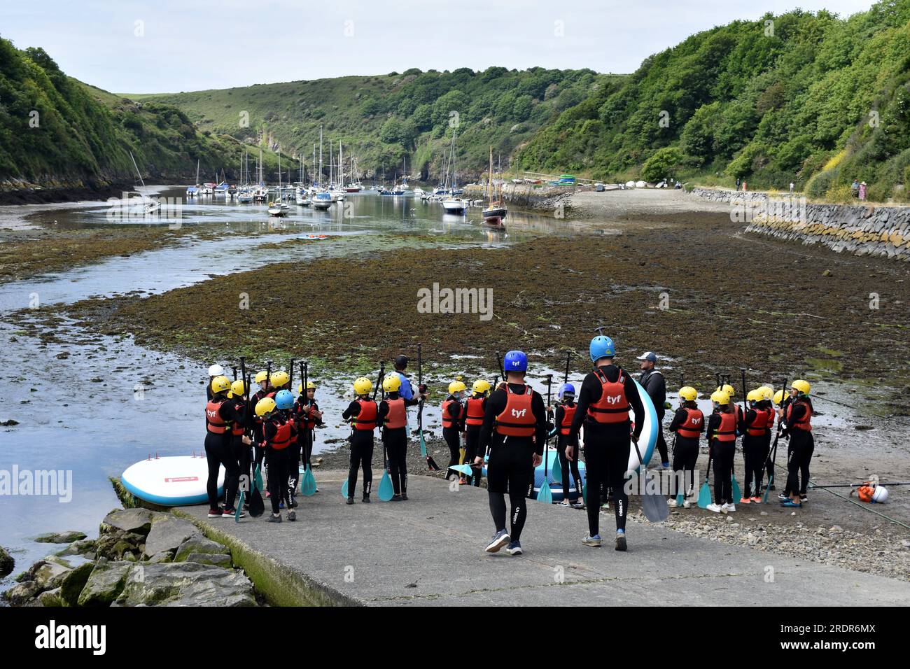 Gruppo di scolari che si preparano ad andare in paddleboarding, Solva Harbour, Solva, Pembrokeshire, Galles Foto Stock