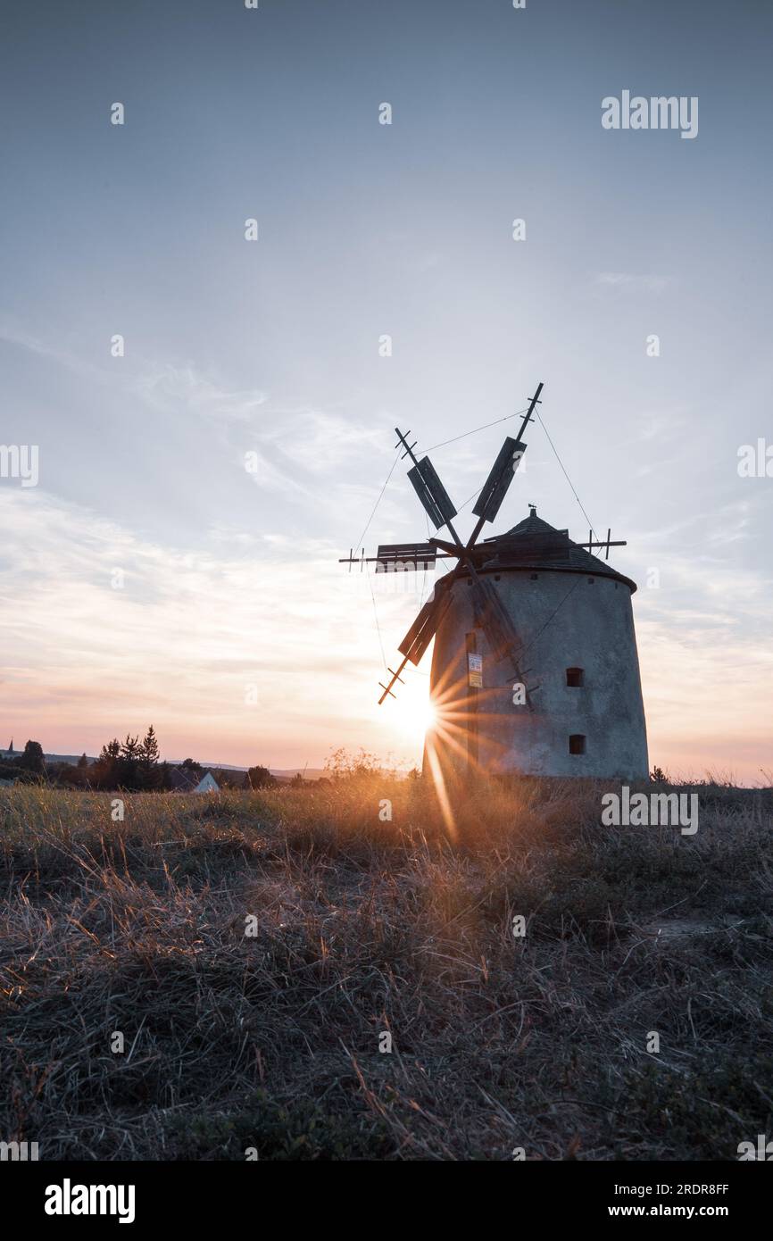 Mulino a vento al tramonto con fiori. La sera questi mulini si trovano in un grande paesaggio in Ungheria a te am Balaton Foto Stock