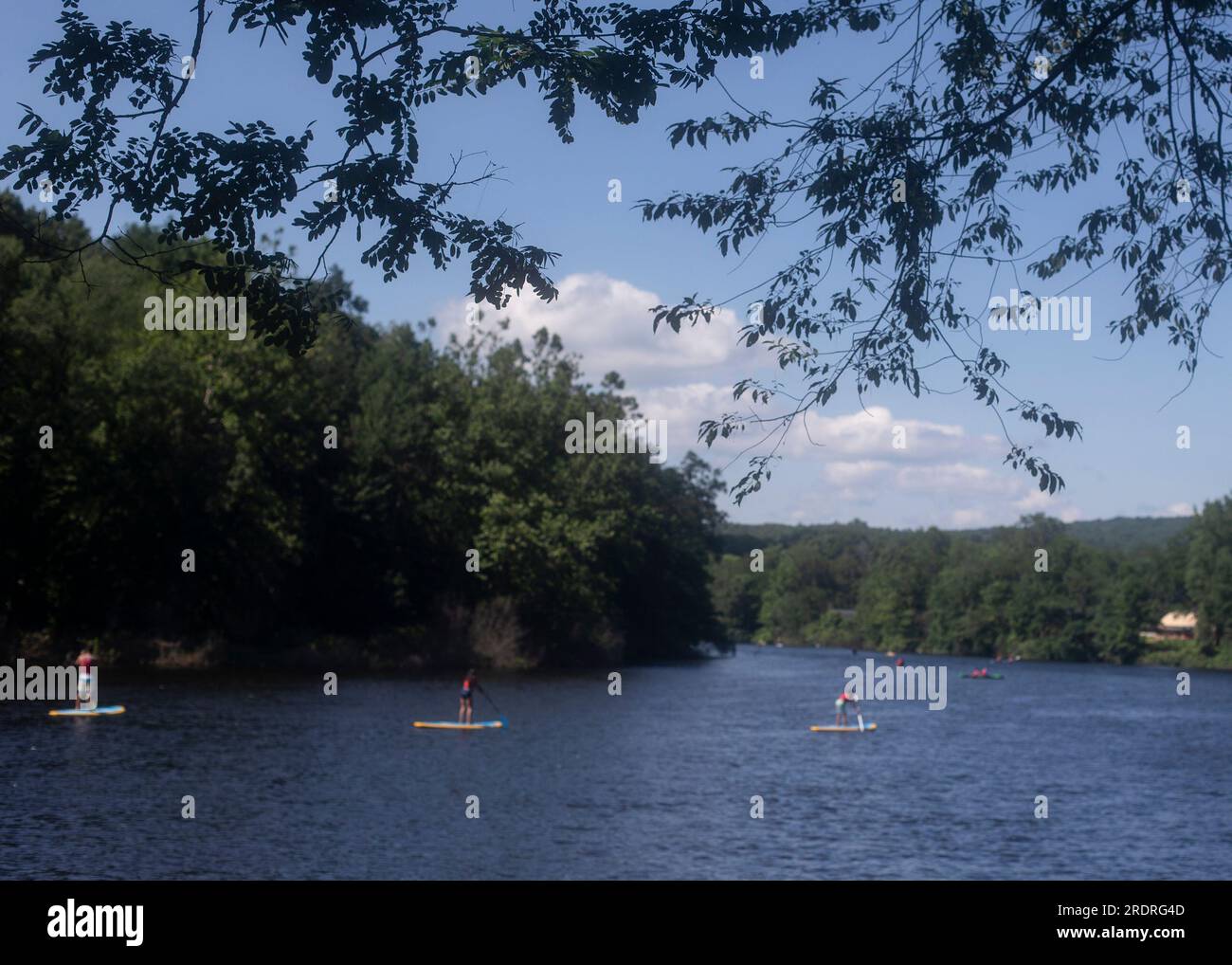 Tavole da paddle su un fiume del Connecticut Foto Stock