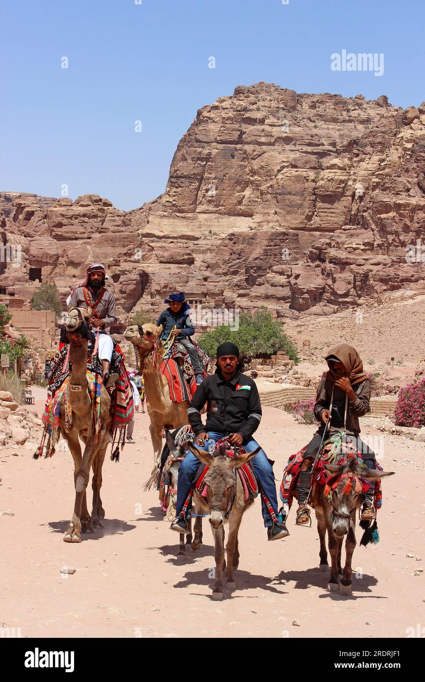 Ciuchino e Camel Riders a Petra, Jordan Foto Stock