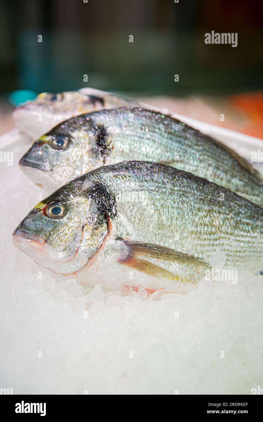 Orata dorata (dorata) sul ghiaccio presso la cabina di pesce al mercato del pesce Foto Stock