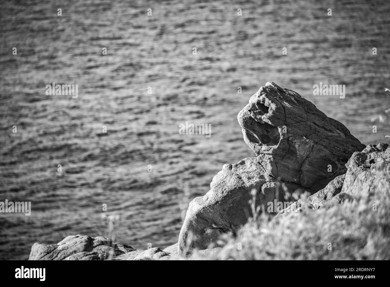 Roccia sulla costa rocciosa che assomiglia alla testa di un leone. Mar Nero. Regione di Burgas, Bulgaria, immagine monocromatica in bianco e nero Foto Stock