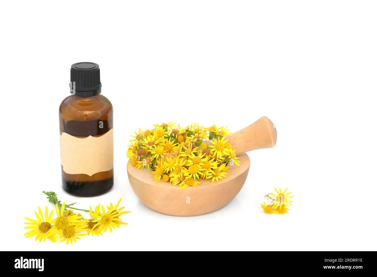 Fiori di ragwort in un mortaio su bianco con bottiglia essenza. Usato nella medicina a base di erbe per trattare coliche, reumatismi, periodi dolorosi, sintomi della menopausa. Foto Stock