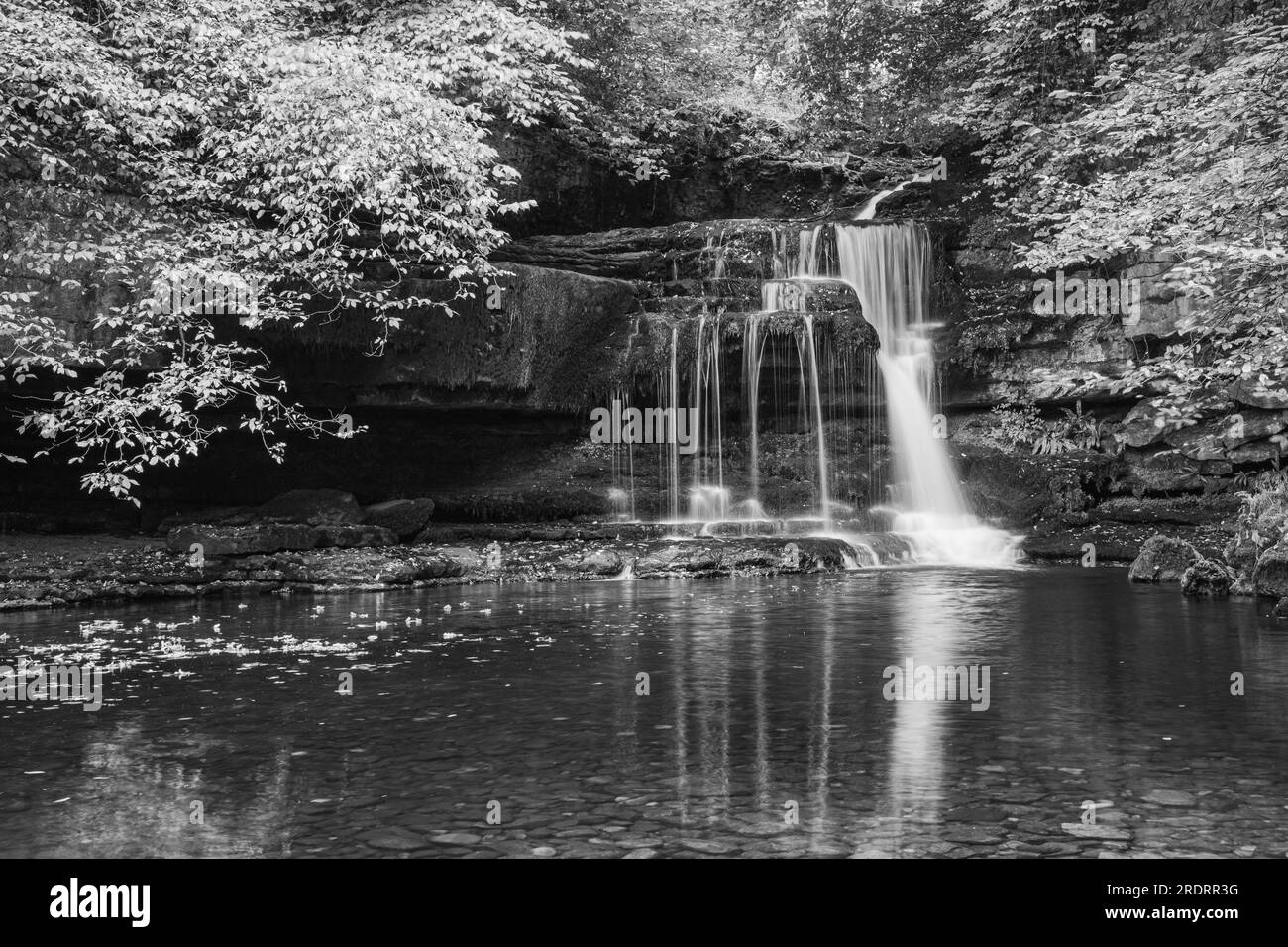 Una foto monocromatica di West Burton Waterfall, nota anche come Cauldron Falls, Yorkshire, Regno Unito Foto Stock