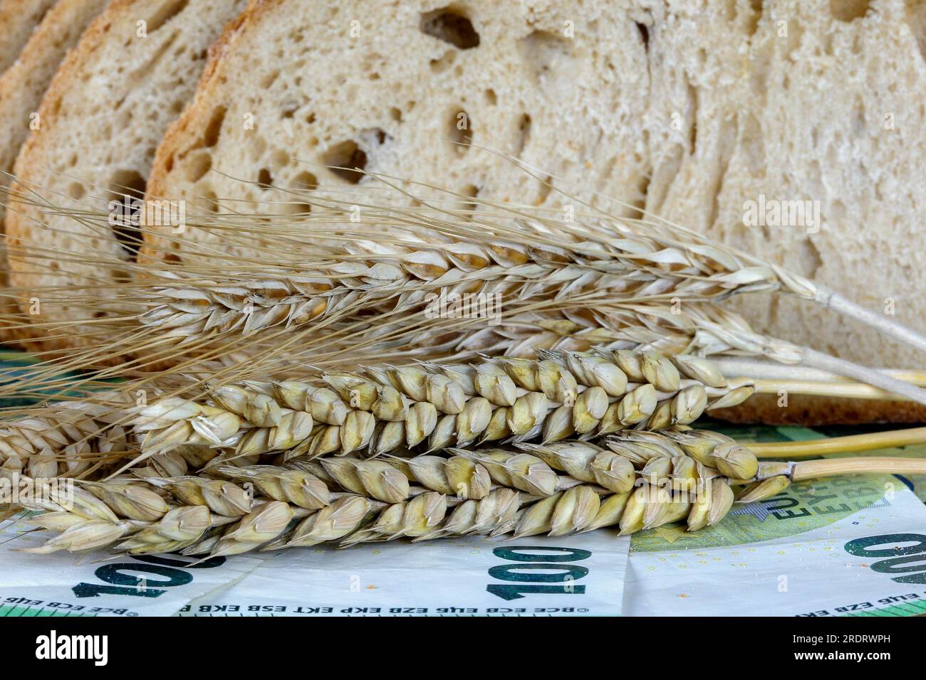 Cereali, pane e banconote in euro. Il cambiamento climatico e l'ondata di calore stanno destando preoccupazione per il nuovo raccolto. Foto Stock