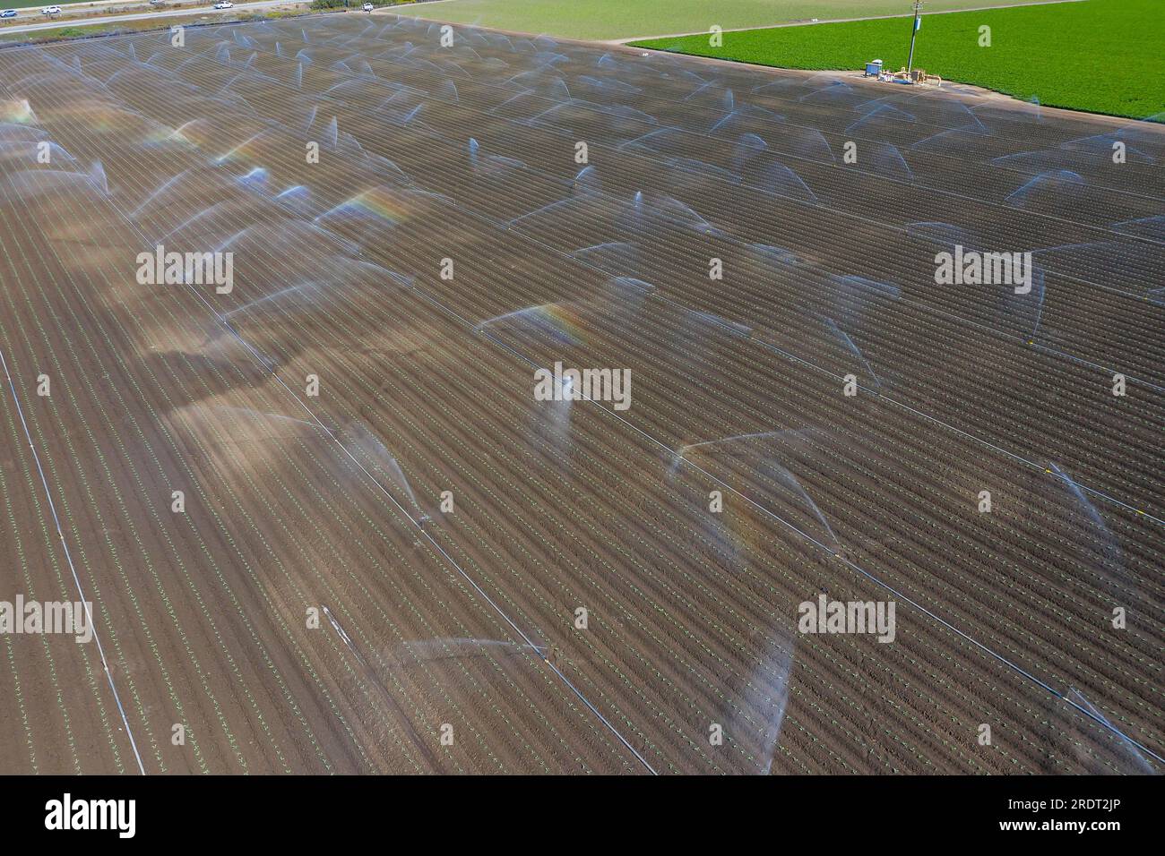 Vista aerea degli agricoltori che lavorano in un campo di raccolta di colture per i consumatori Foto Stock