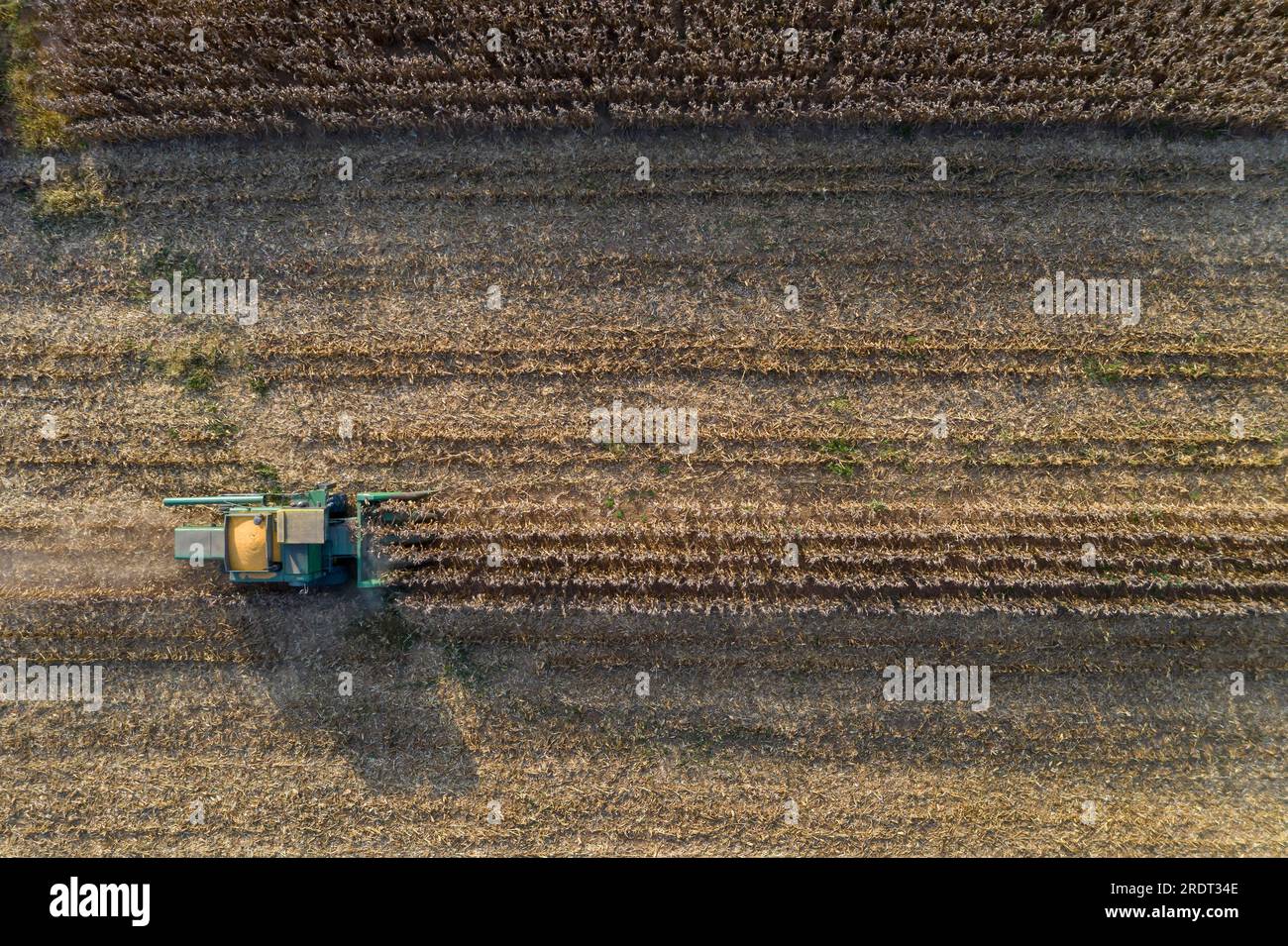 Vista aerea degli agricoltori che lavorano in un campo di raccolta di colture per i consumatori Foto Stock