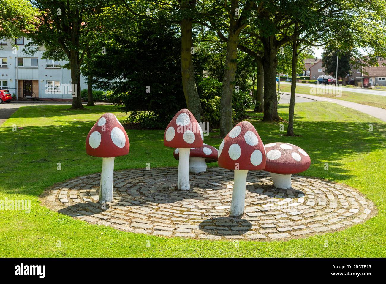 Funghi d'arte moderna su una rotatoria a Glenrothes Fife in Scozia. Foto Stock