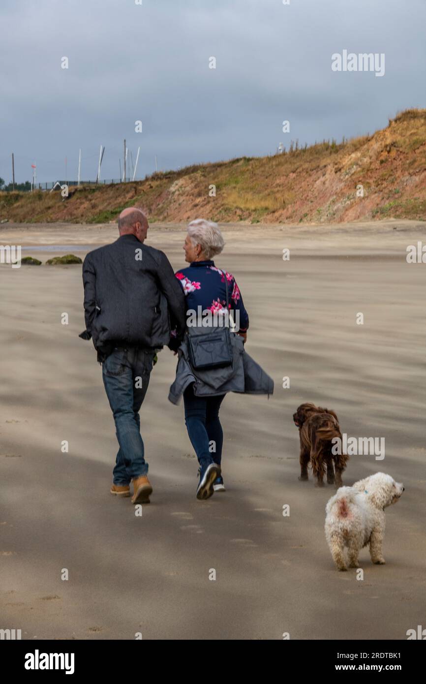 coppia in pensione che cammina sulla spiaggia dell'isola di wight con due cani piccoli. coppia più anziana che condivide una passeggiata sulla spiaggia insieme ai loro terrier. Foto Stock