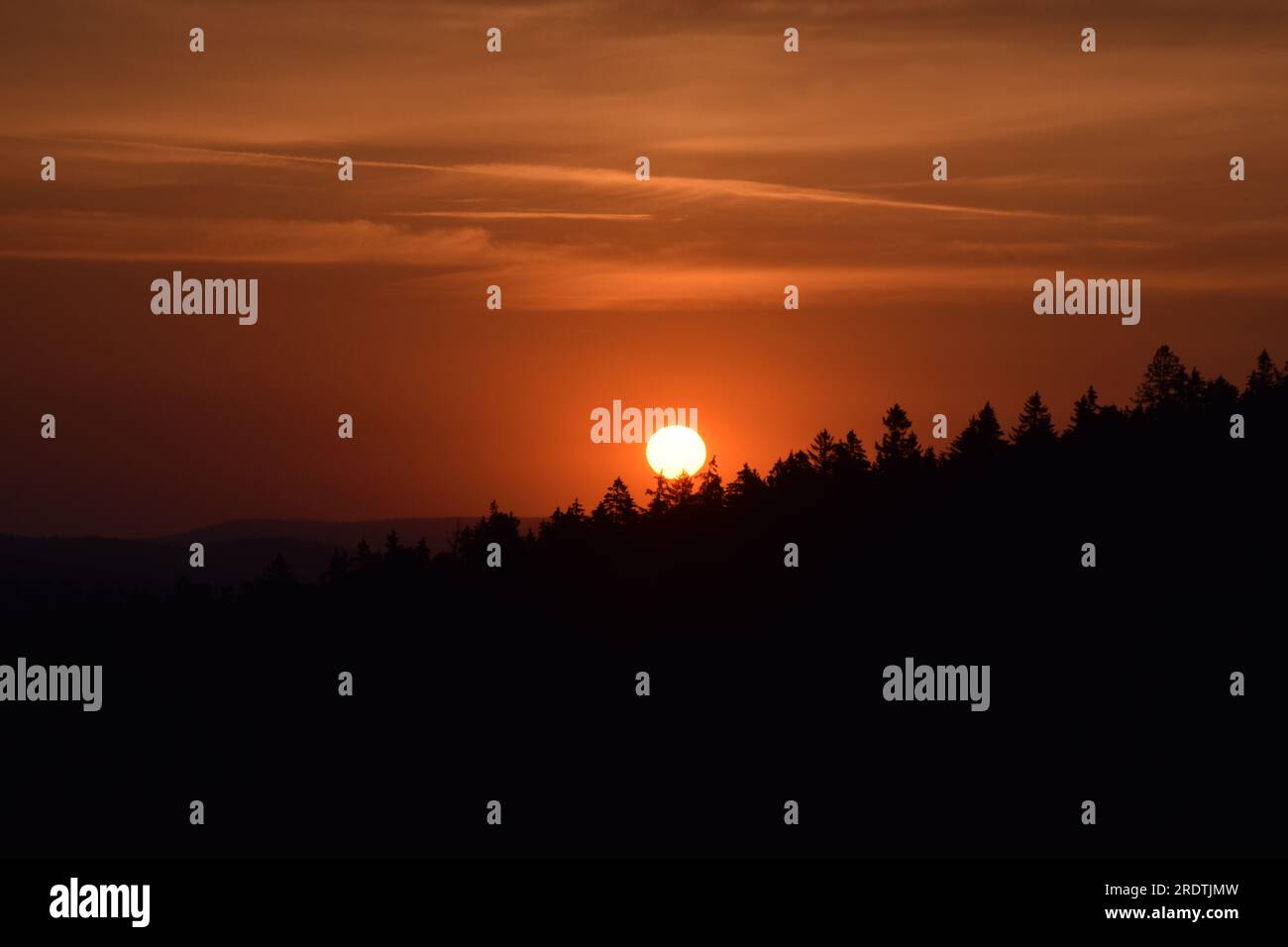 Sunrise in foresta Foto Stock