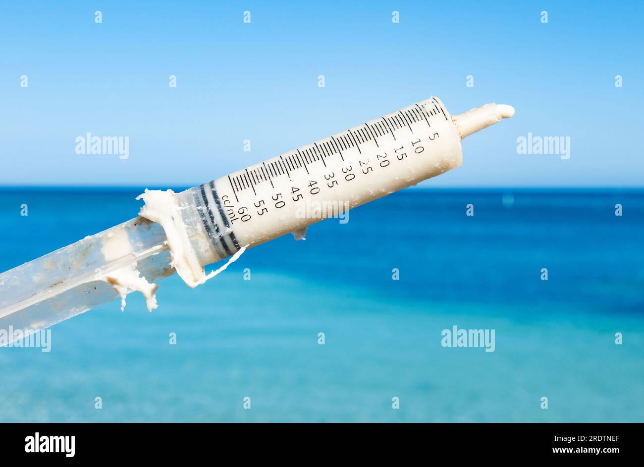 Siringa con pasta antibiotica usata per curare Stony Coral Tissue Loss Disease (SCTLD) Foto Stock