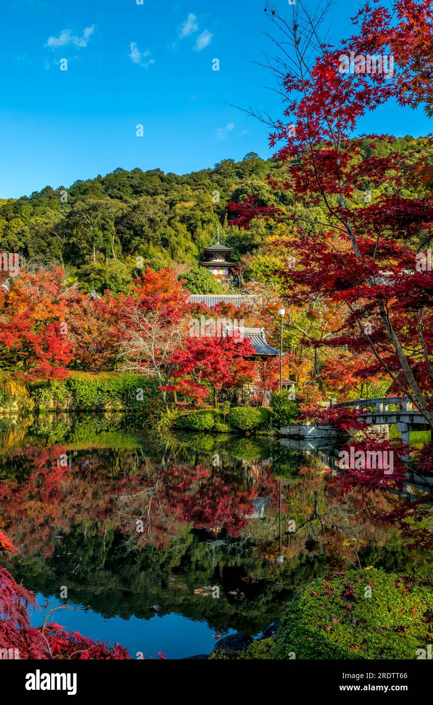 Tempio Eikan-dō (Zenrin-ji) Kyoto in autunno Foto Stock