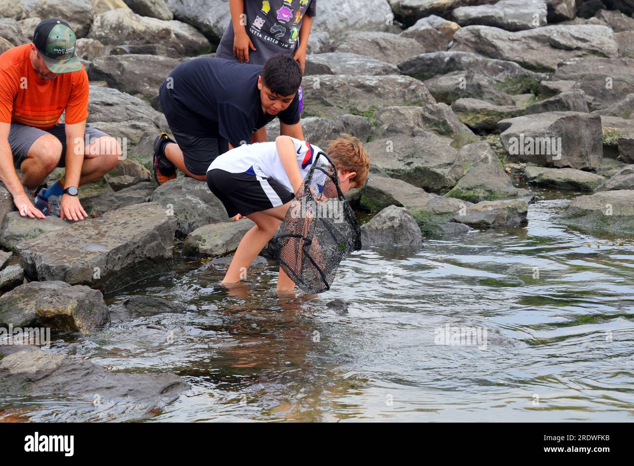 Persone al Brooklyn Bridge Park con una rete da pesca che attraversa l'East River, New York City. Foto Stock