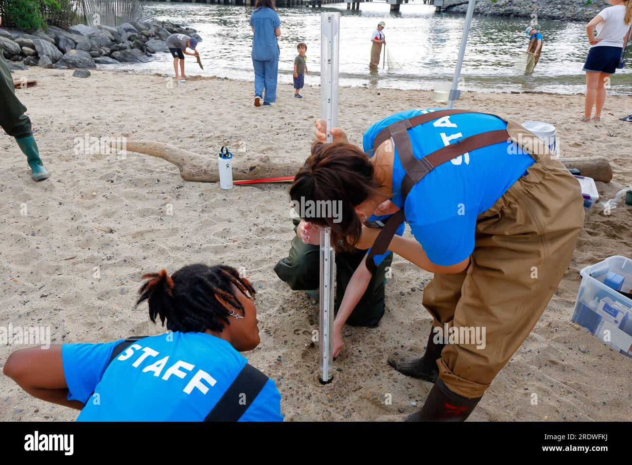Il personale del Brooklyn Bridge Park Conservancy misura la trasparenza dell'acqua dell'East River di New York con un tubo trasparente contenente un disco secchi, 15 luglio 2023 Foto Stock