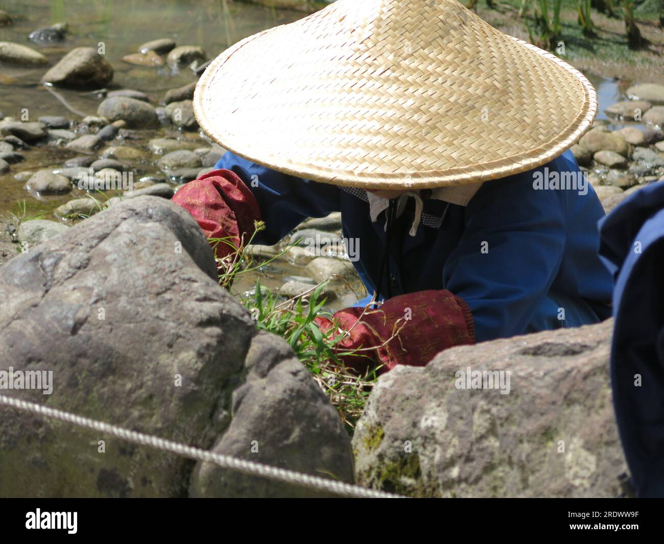 Curatissimo giardinaggio a Kenrokuen: Una donna giapponese con un cappello di paglia conico sta diseredando tra le rocce nel giardino più famoso del Giappone. Foto Stock