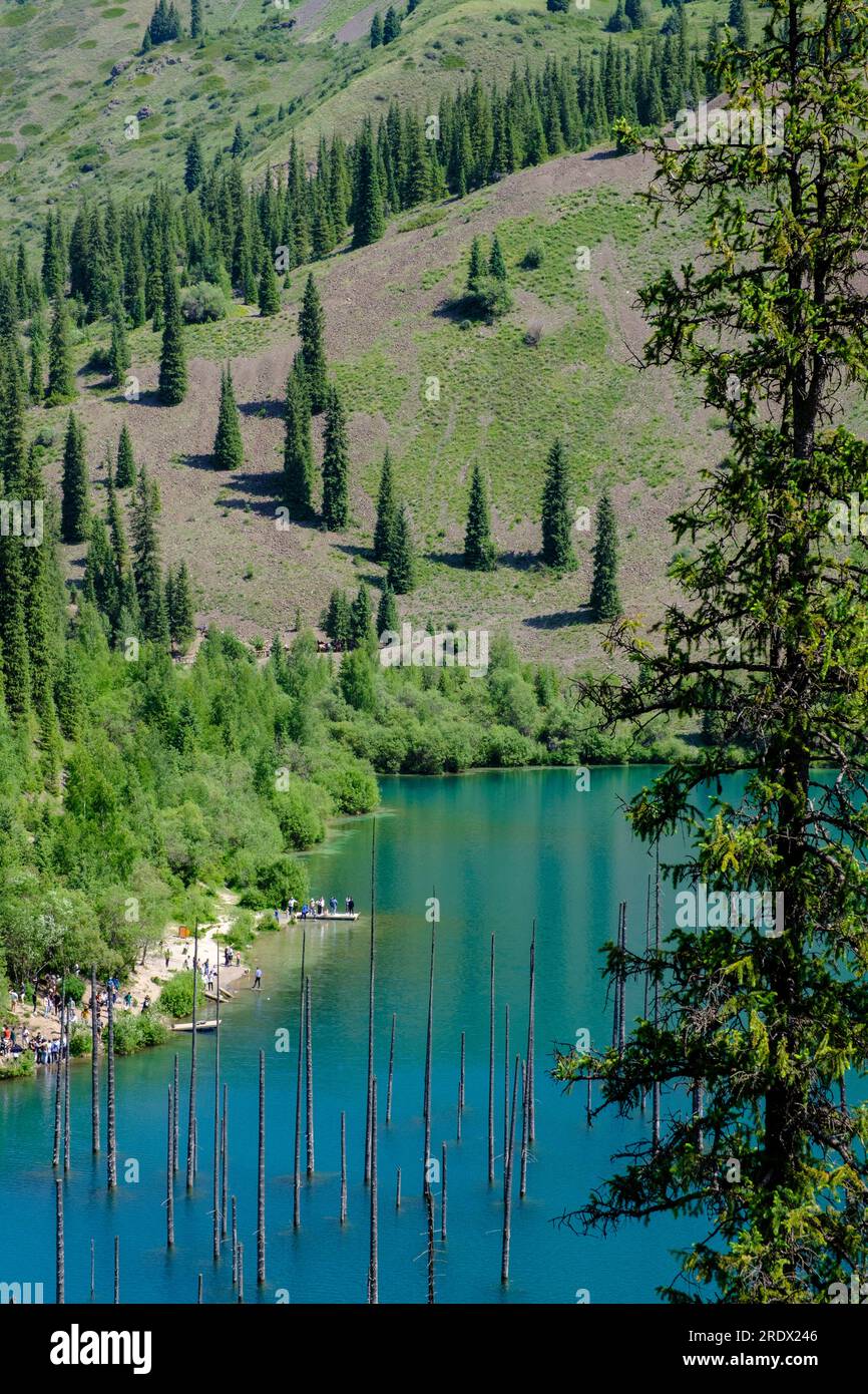 Kazakistan, Parco Nazionale dei Laghi di Kolsay. Lago Kaindy visto da un sito Upper Trail. Foto Stock