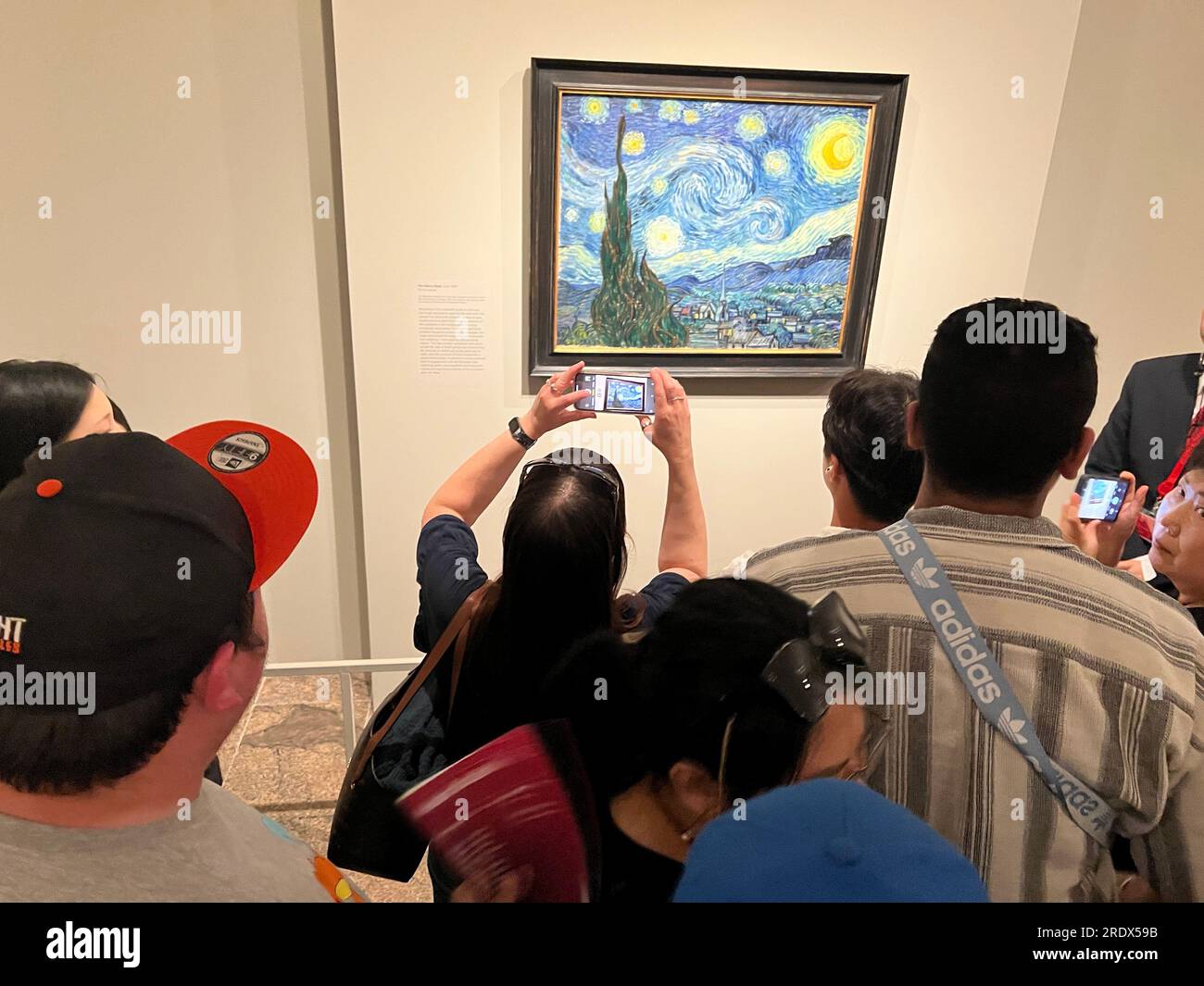 La mostra del Metropolitan Museum of Art, "i cipressi di Van Gogh", è la prima mostra dedicata agli alberi, tra i più famosi nella storia dell'arte. "Notte stellata", uno dei dipinti più riconoscibili al mondo. Foto Stock