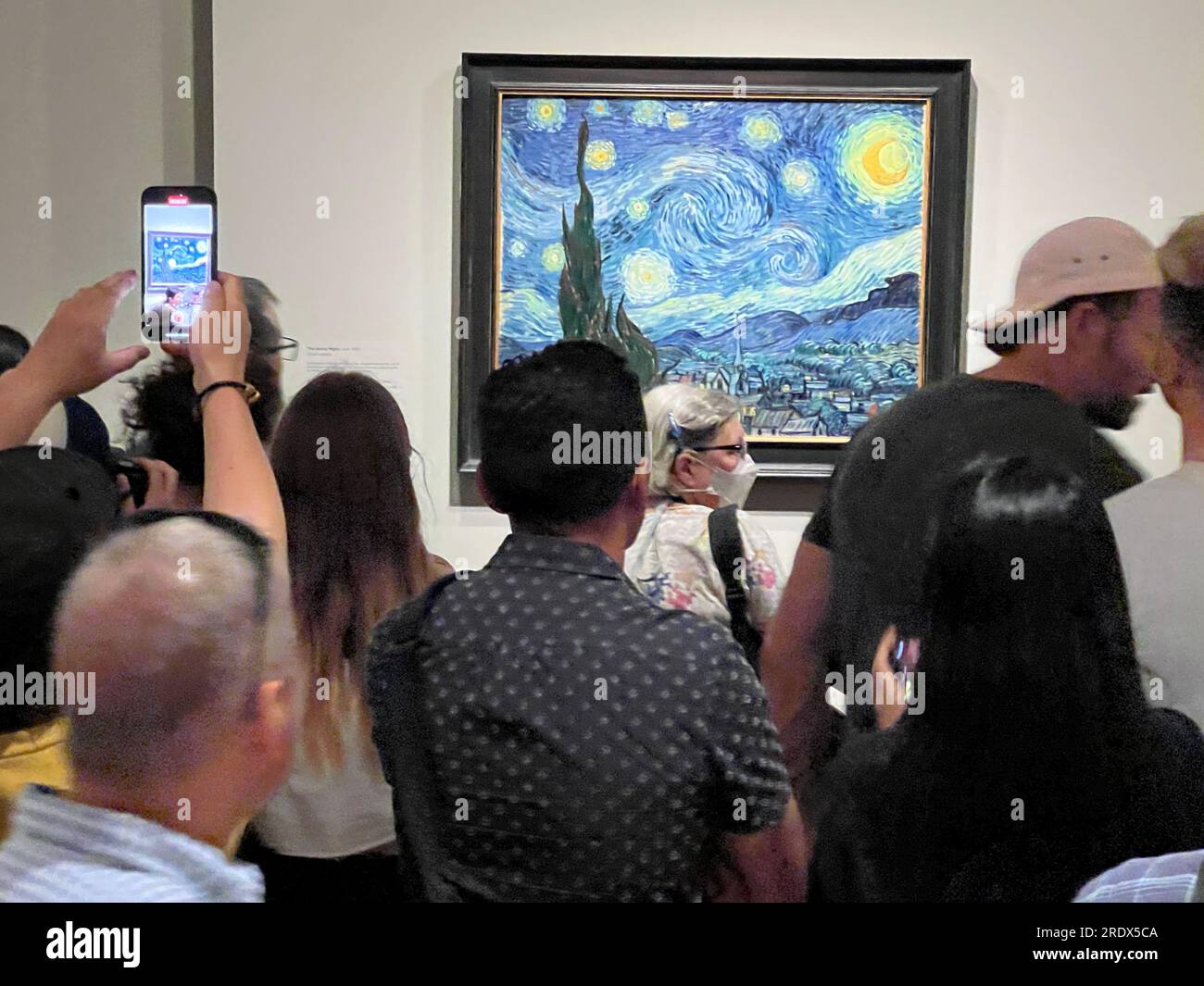 La mostra del Metropolitan Museum of Art, "i cipressi di Van Gogh", è la prima mostra dedicata agli alberi, tra i più famosi nella storia dell'arte. La folla riempie la galleria tutto il giorno. Gli spettatori circondano "Starry Night", uno dei dipinti più famosi al mondo. Foto Stock