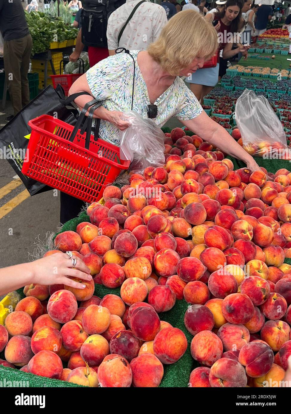 La donna acquista pesche fresche al Grand Army Plaza Farmers zMarket nel quartiere Park Slope di zBrooklyn, New York. Foto Stock