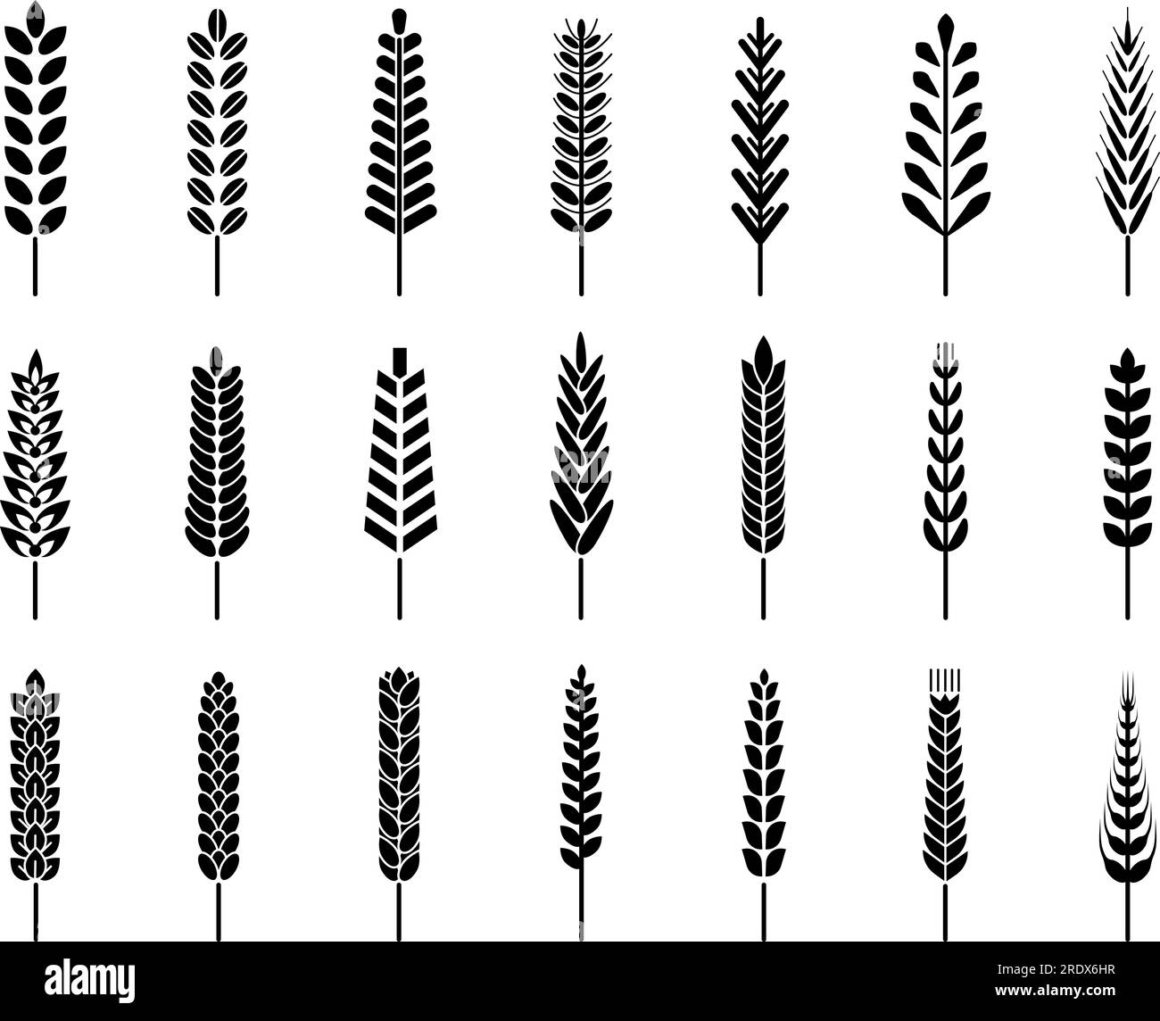 Icone isolate delle sagome di grano nero. Orzo segale, simboli dell'agricoltura dei cereali. Fattoria stagionale, pane biologico o segni vettoriali decenti Illustrazione Vettoriale