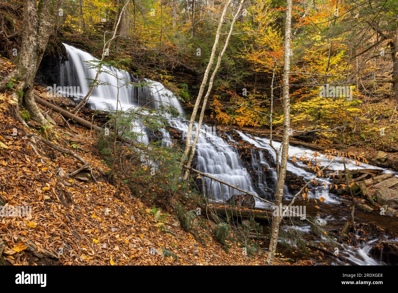 Mohawk Falls in autunno, Ricketts Glen state Park, Pennsylvania Foto Stock