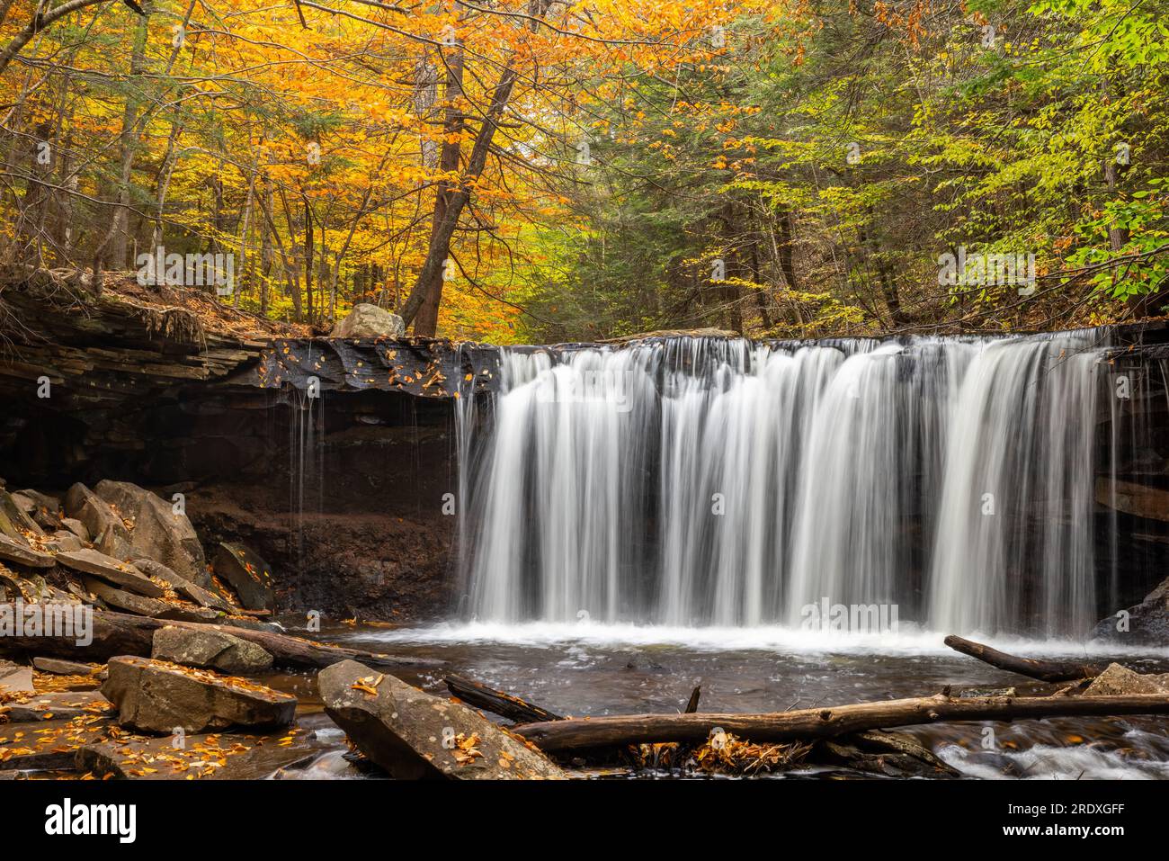 Cascate di Oneida in autunno, Ricketts Glen state Park, Pennsylvania Foto Stock