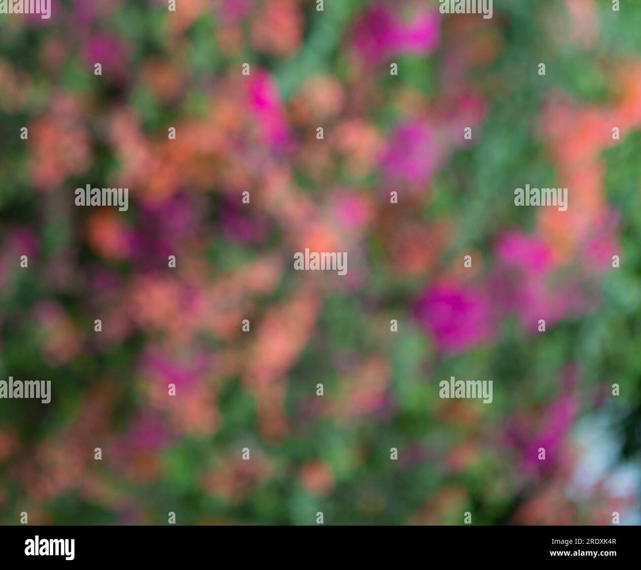 Texture multicolore, sfocata, morbida, sfocata, astratta. Foto Stock