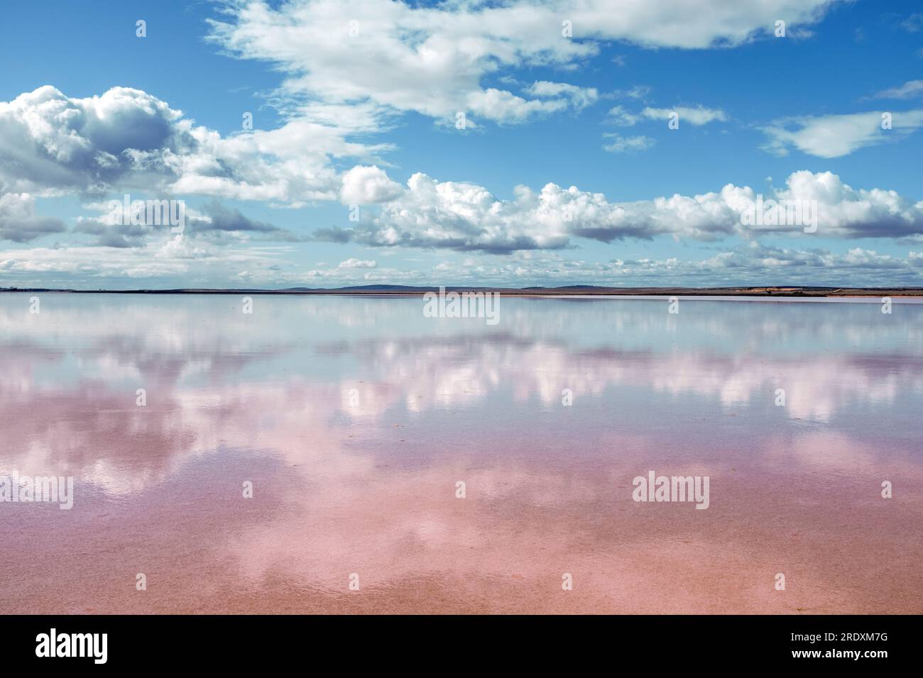 Un cielo soleggiato dell'entroterra si riflette nelle acque poco profonde del lago Bumbunga, un lago di sale rosa a Lochiel, nella metà del nord dell'Australia meridionale Foto Stock