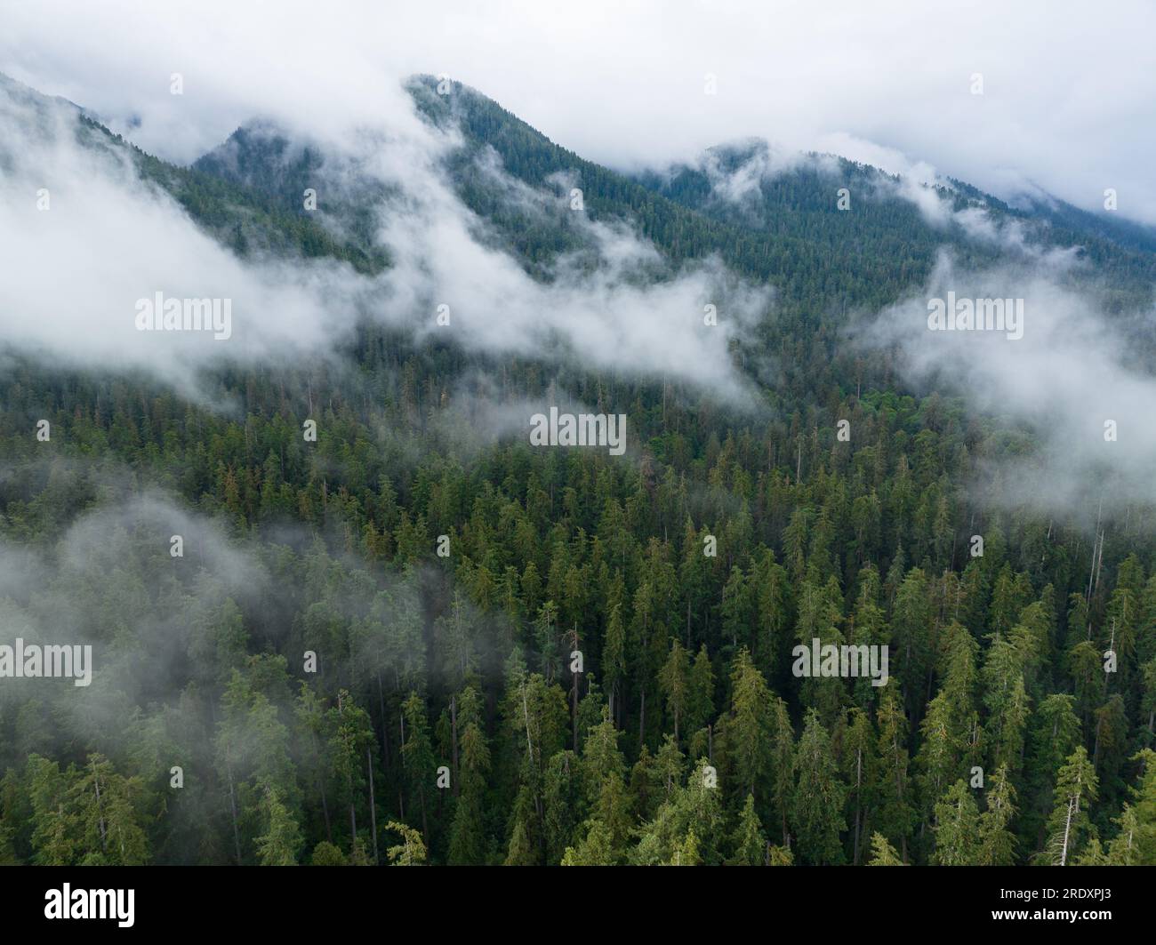 Le nuvole attraversano l'aspro paesaggio boscoso del Parco Nazionale Olimpico. Questa regione montuosa di Washington occidentale è assolutamente bella. Foto Stock