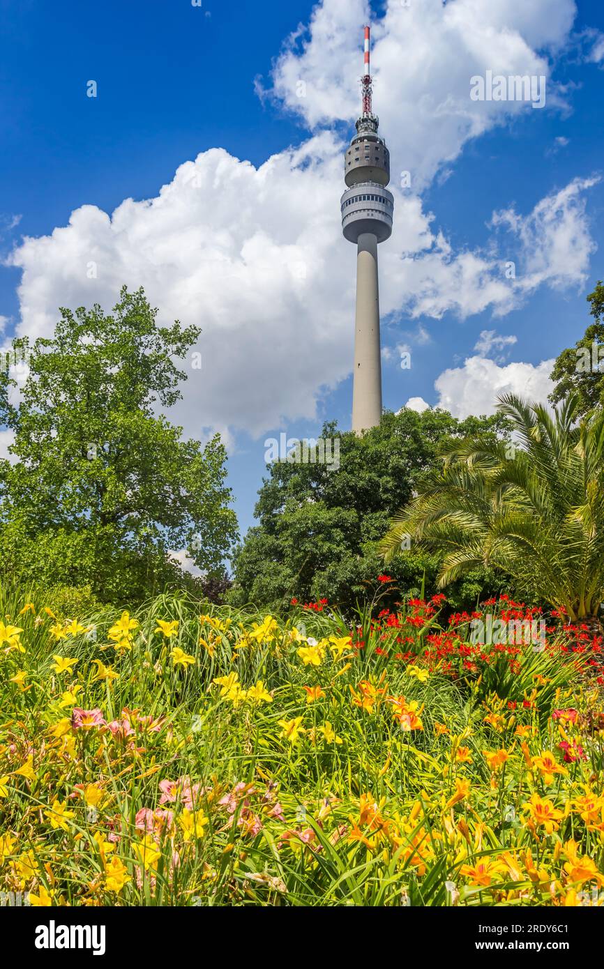 Fiori di fronte alla torre Florianturm a Dortmund, Germania Foto Stock