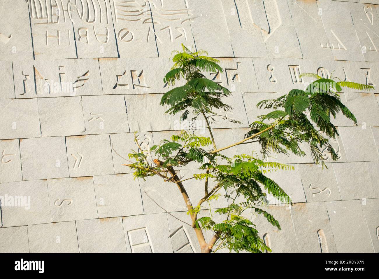 Situata vicino al Mediterraneo ad Alessandria, in Egitto, la spettacolare Bibliotheca Alexandrina Library è un omaggio e una reinterpretazione dell'Antico Foto Stock