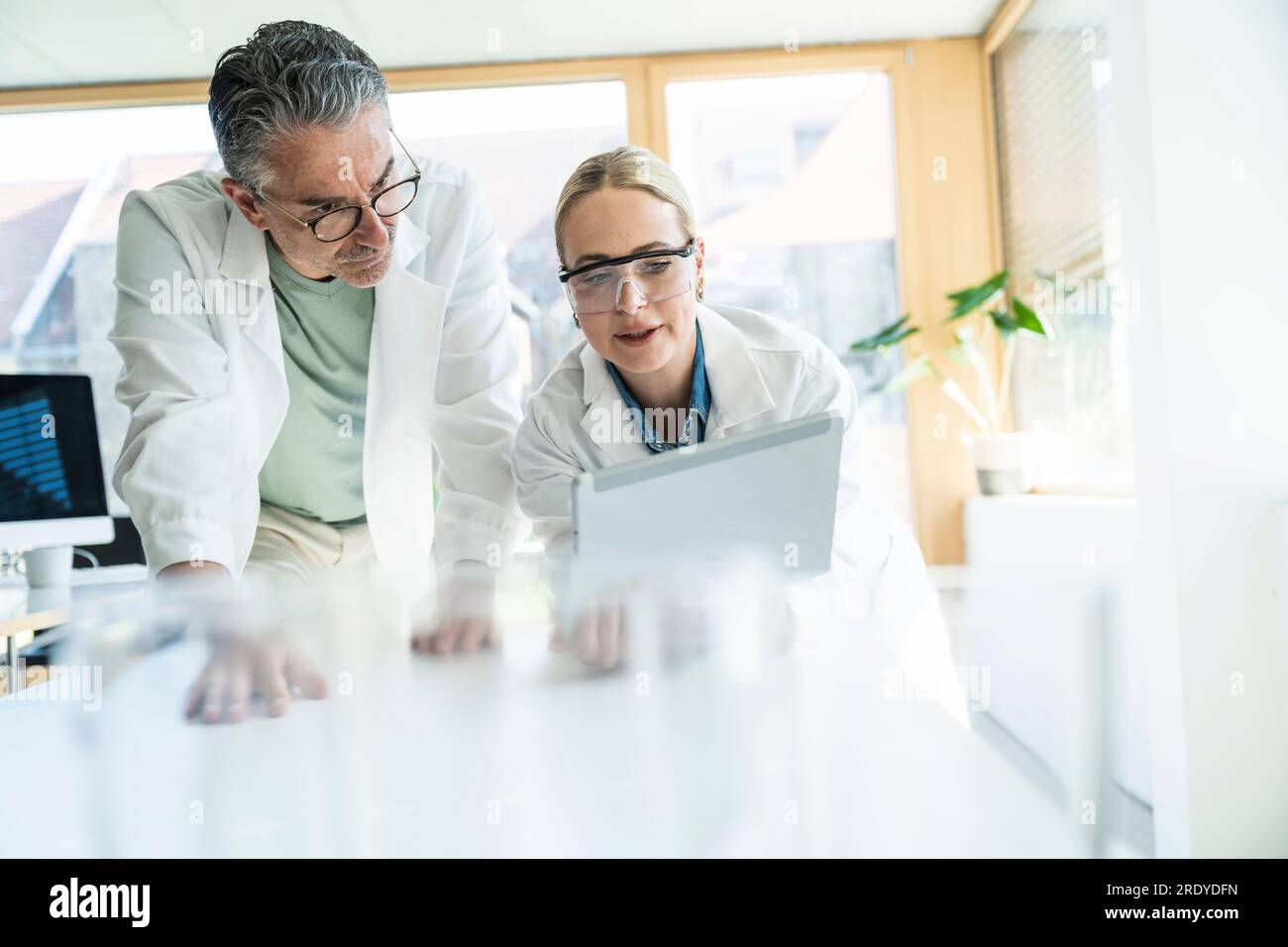 Scienziati che lavorano su un tablet in laboratorio Foto Stock