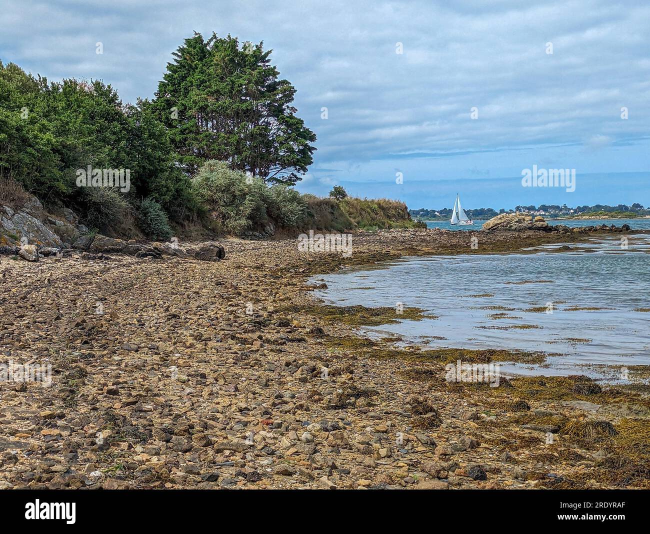 Iles de brouel immagini e fotografie stock ad alta risoluzione - Alamy