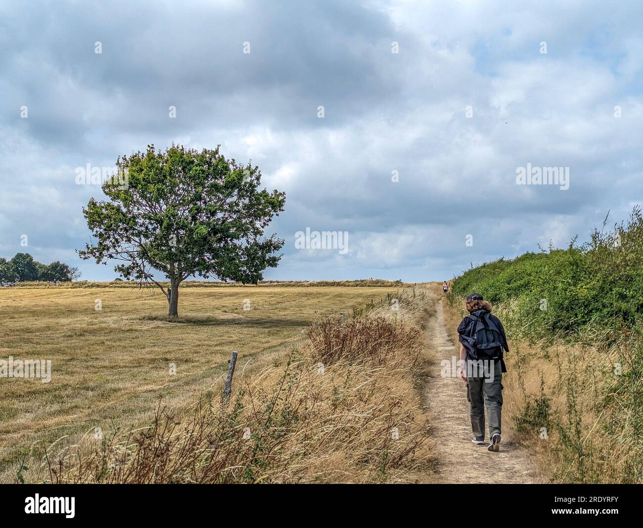 C) Denis TRASFI / MAXPPP - Francia, Bretagne, Morbihan, île d'Arz (à proximité de l'Île-aux-Moines) le 22 juillet 2023 - Randonneur sur le sentier à c Foto Stock