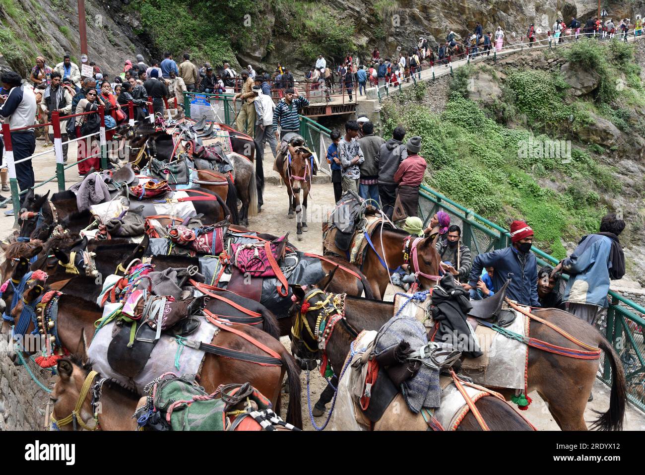 Kedarnath è uno dei pellegrinaggi più sacri del Signore Shiva, situato nel distretto di Rudraprayag nella regione di Garhwal in Uttarakhand. Kedarnath è uno dei Char Dham di Uttarakhand e il più importante dham del Panch kedar. Kedarnath si trova ad un'altitudine di 3586 metri, nel grembo delle maestose cime montuose e vicino alla testa del fiume Mandakini, la catena montuosa Kedarnath si erge una delle dodici Jyotirlingas del Signore Shiva. India. Foto Stock