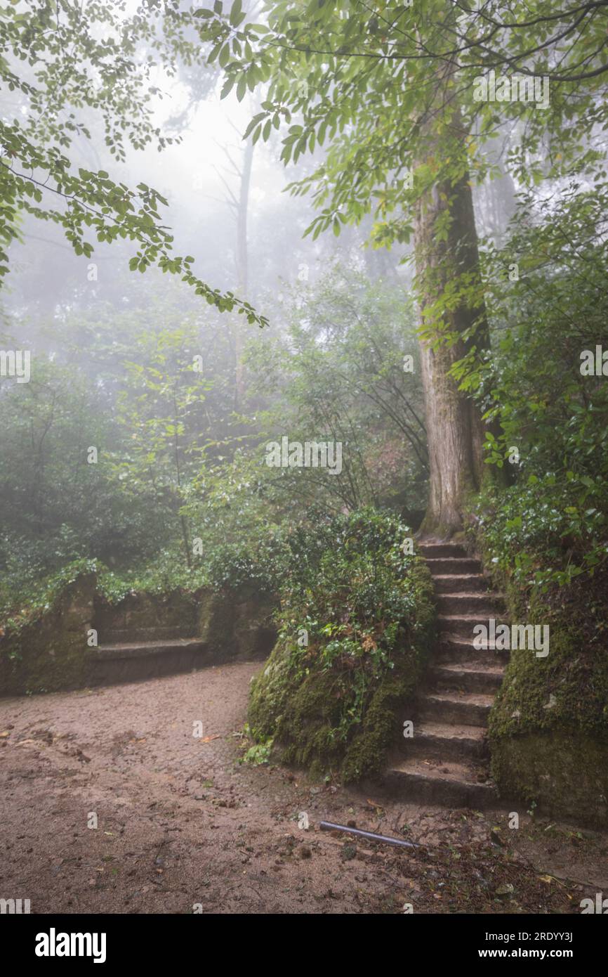 Ambiente quinta de Regaleira con nebbia Foto Stock