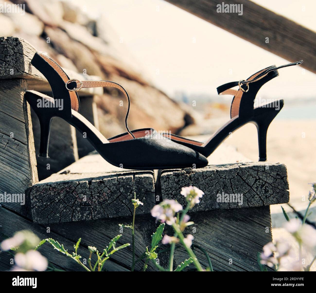 Scarpe nere con tacco alto, accanto ai fiori, sulla spiaggia. Foto Stock