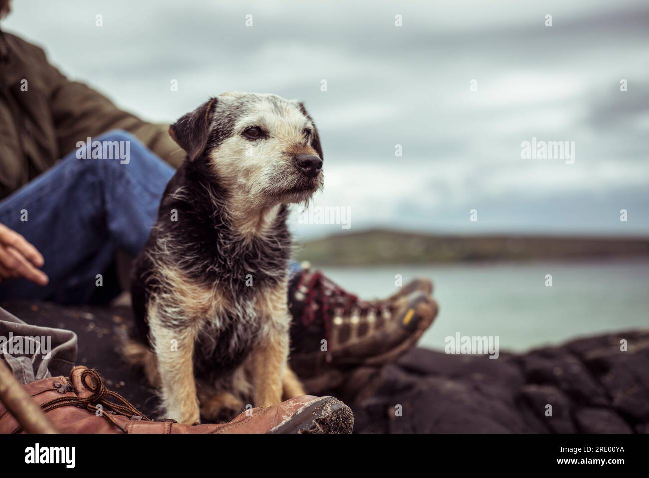 Il cane si siede a riposare facendo trekking con una coppia matura in pensione Foto Stock