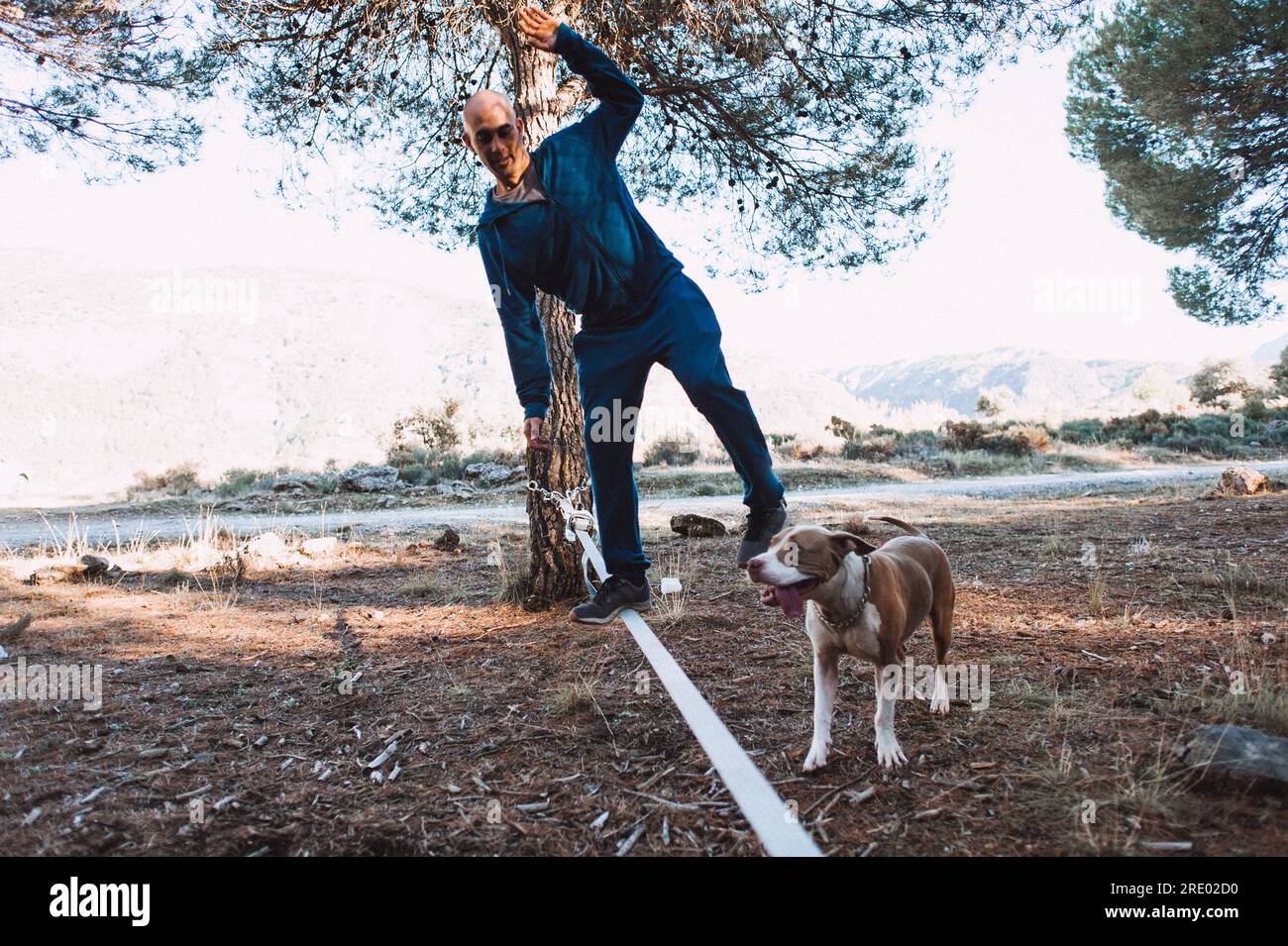 L'uomo che si equilibra con il pitbull nella foresta di Granada, Spagna Foto Stock