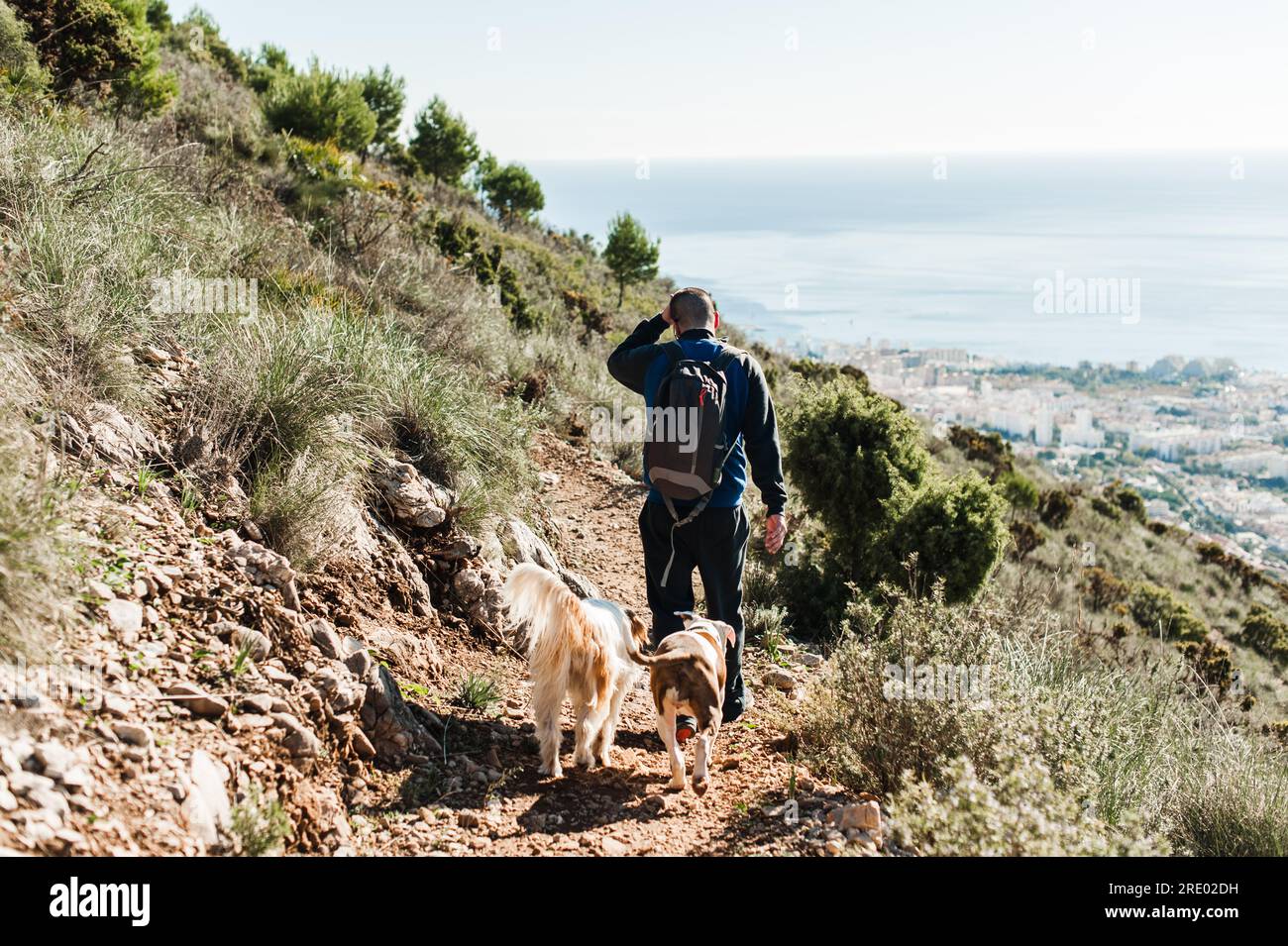 Giovane che fa trekking a Malaga con due cani in montagna contro l'oceano Foto Stock