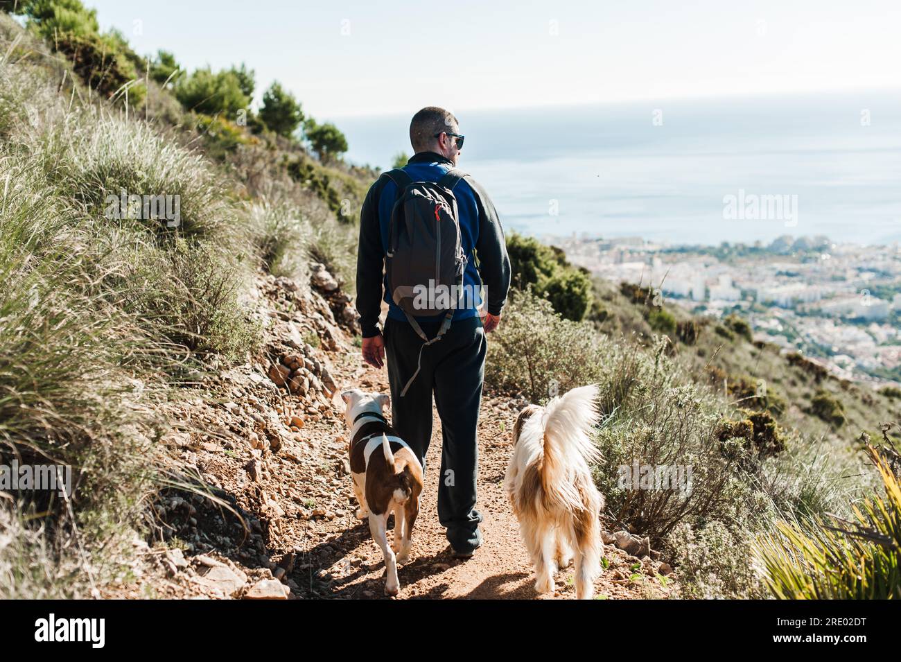 Uomo che risveglia i cani sulle montagne con vista sull'oceano a Malaga, Spagna Foto Stock