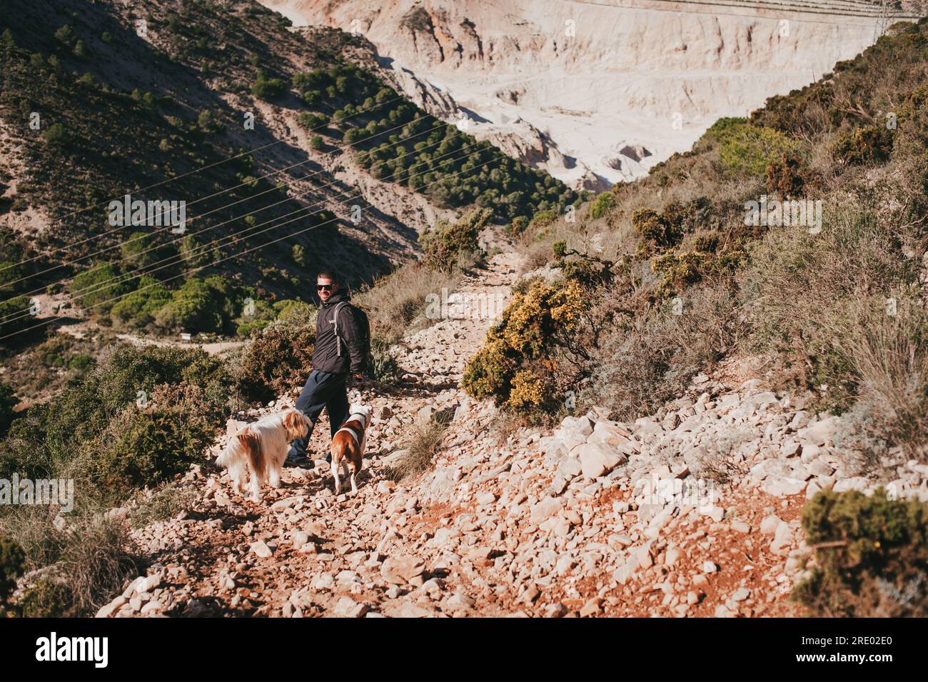 Giovane escursionista con due cani in montagna nel sud della Spagna, Malaga Foto Stock